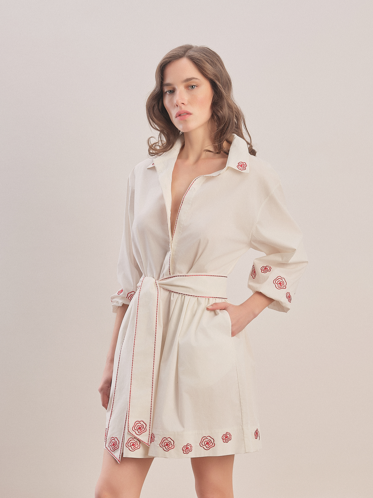 Rosewood - Embroidered Mini Shirt Dress